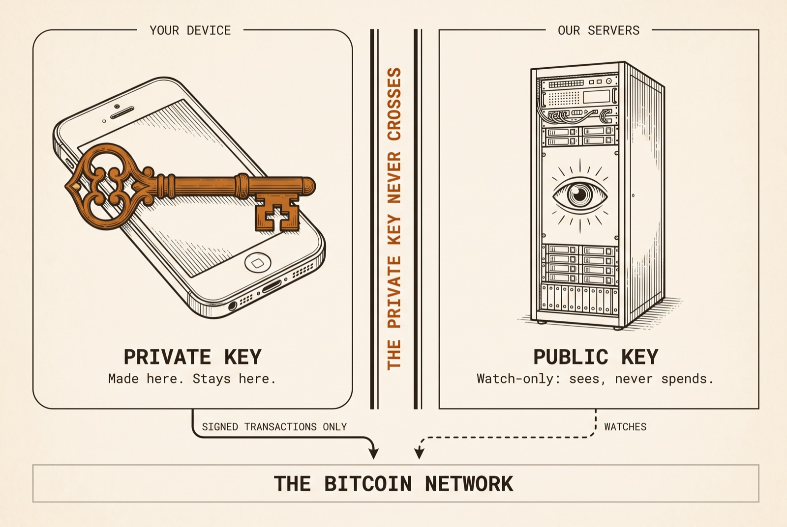 Engraved diagram. Your device: an ornate orange key on a smartphone, the private key, made here and kept here. A double-ruled barrier reads: the private key never crosses. Our servers: a cabinet with a watching eye, the public key, watch-only. Arrows show only signed transactions reach the Bitcoin network; the servers merely watch.